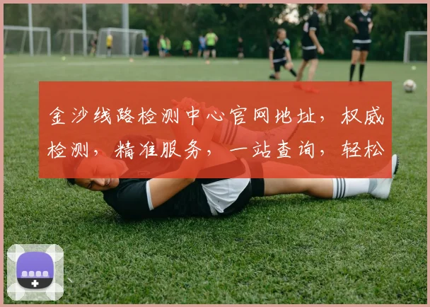金沙线路检测中心官网地址，权威检测，精准服务，一站查询，轻松掌握