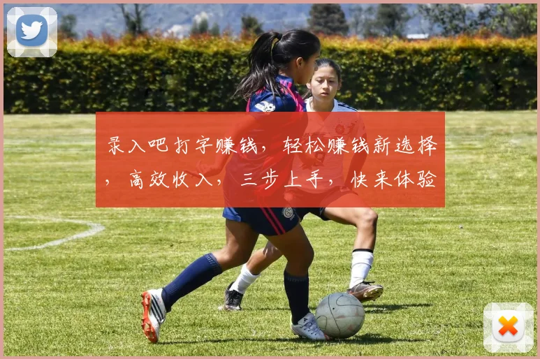 录入吧打字赚钱，轻松赚钱新选择，高效收入，三步上手，快来体验