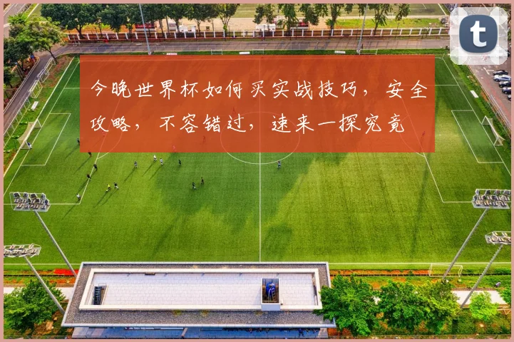 今晚世界杯如何买实战技巧，安全攻略，不容错过，速来一探究竟