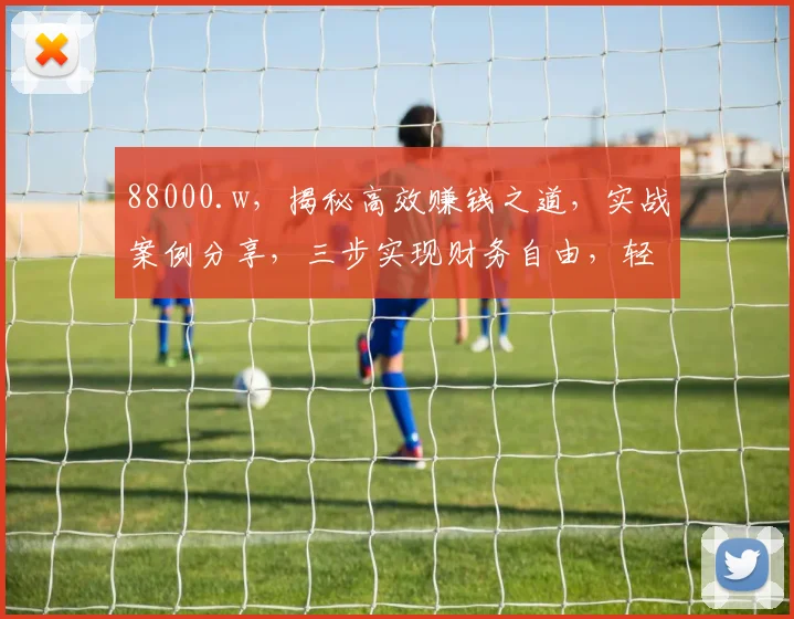 88000.w，揭秘高效赚钱之道，实战案例分享，三步实现财务自由，轻松理财