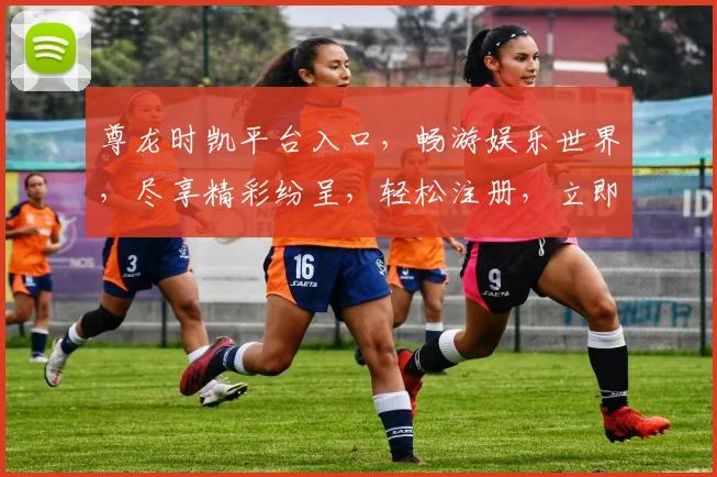 尊龙时凯平台入口，畅游娱乐世界，尽享精彩纷呈，轻松注册，立即体验，尊享不凡
