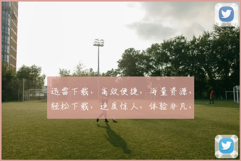 迅雷下载，高效便捷，海量资源，轻松下载，速度惊人，体验非凡，不容错过，必看攻略